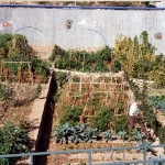 Huertos en el Jardin de la Memoria