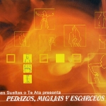 Pedazos, migajas y escarceos